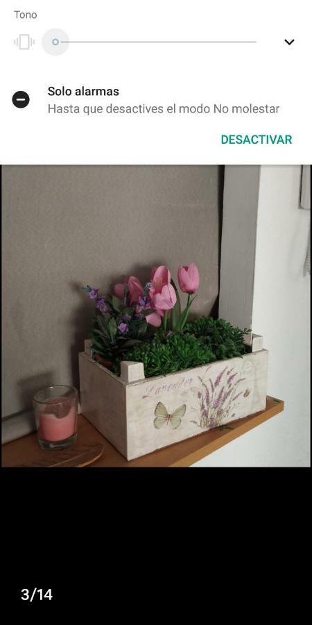 Habitacion Centrica - Only Women อาลิกันเต ภายนอก รูปภาพ